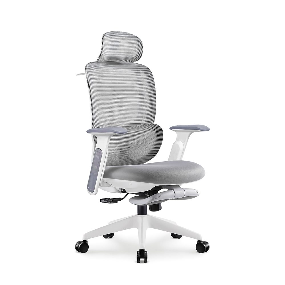E6670-H(White,footrest,升降扶手) view 3