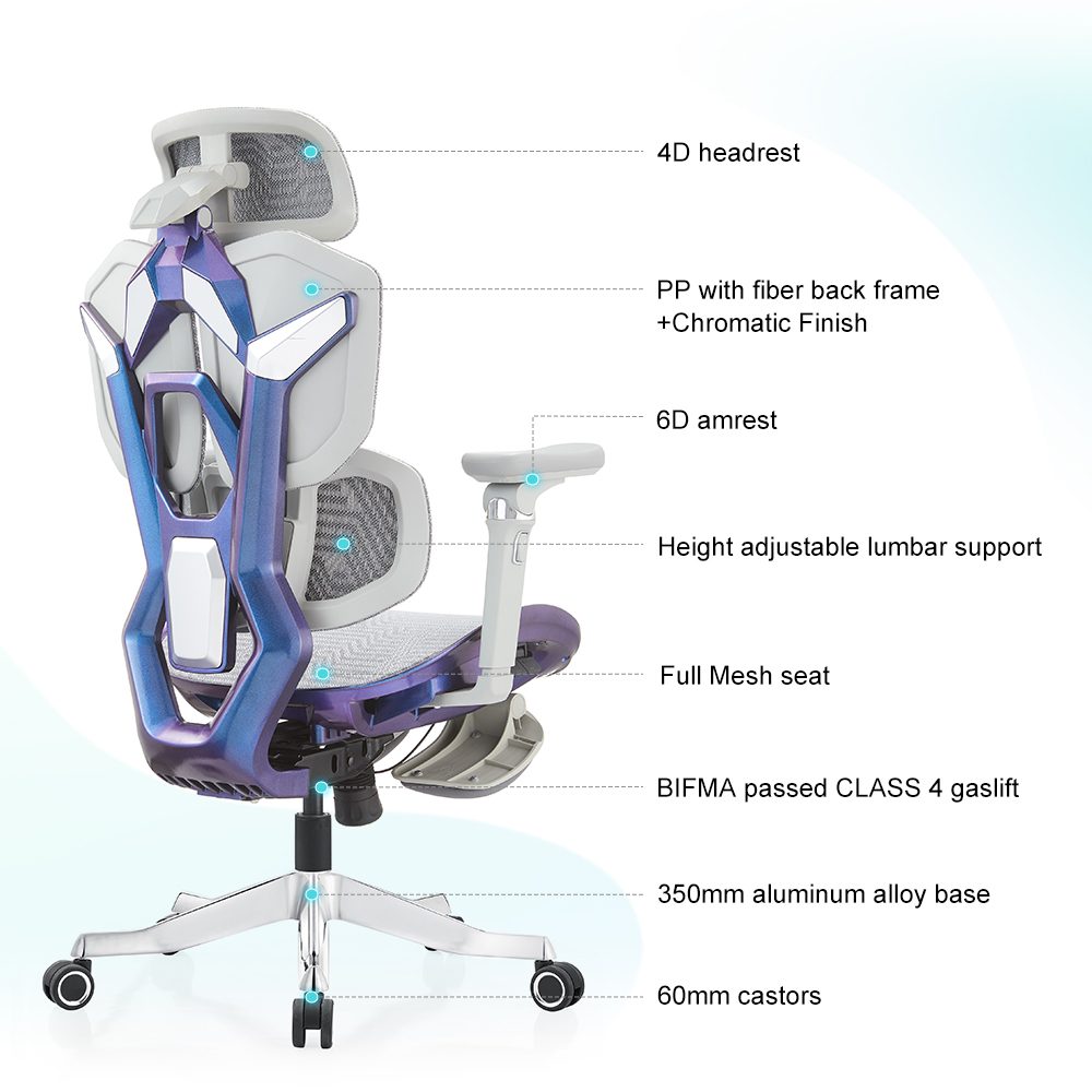 E380 HG COLORFUL — function detail 2