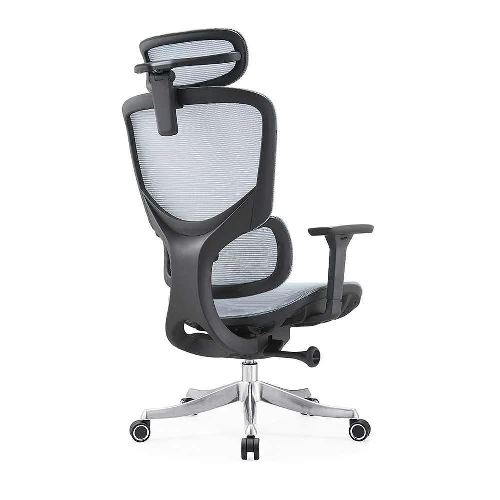 E365-H (full mesh) view 2