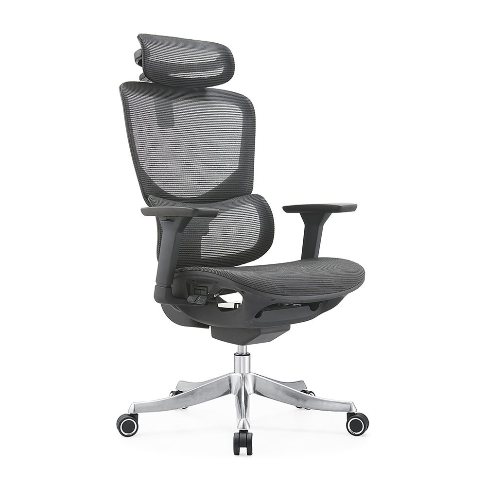 E365-H (full mesh) view 5