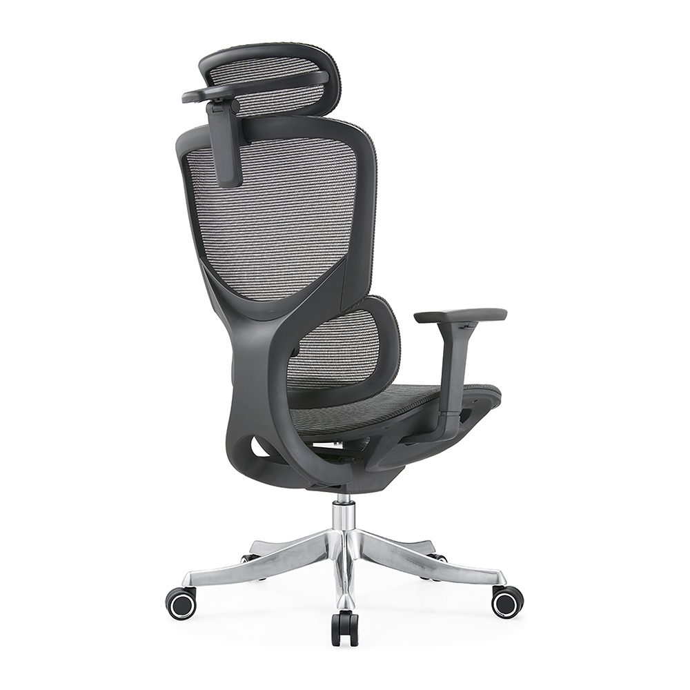 E365-H (full mesh) view 6