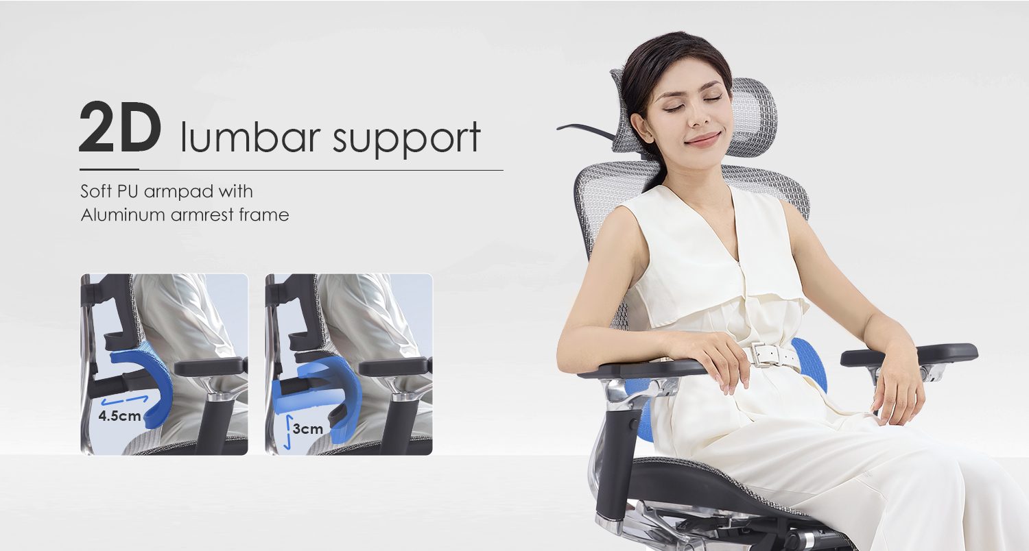 E383-H Plus (footrest) detail — 10