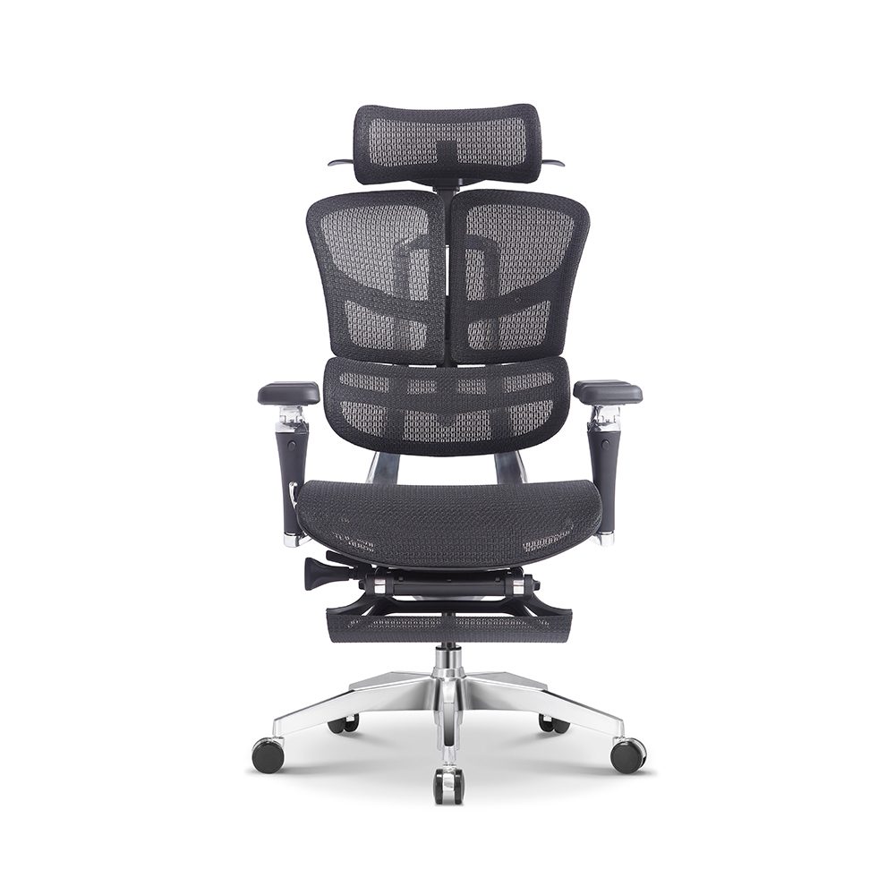 E385-H plus(footrest) view 2