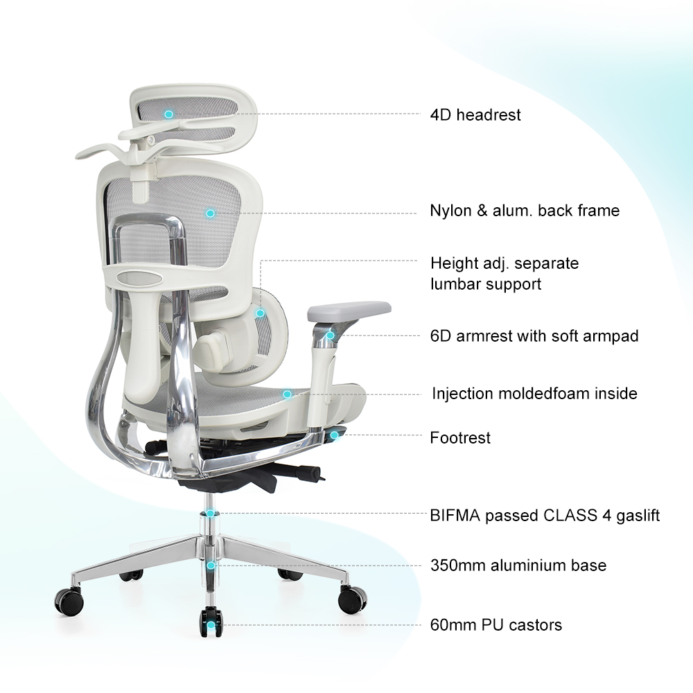 E521 HG MF — function detail 8
