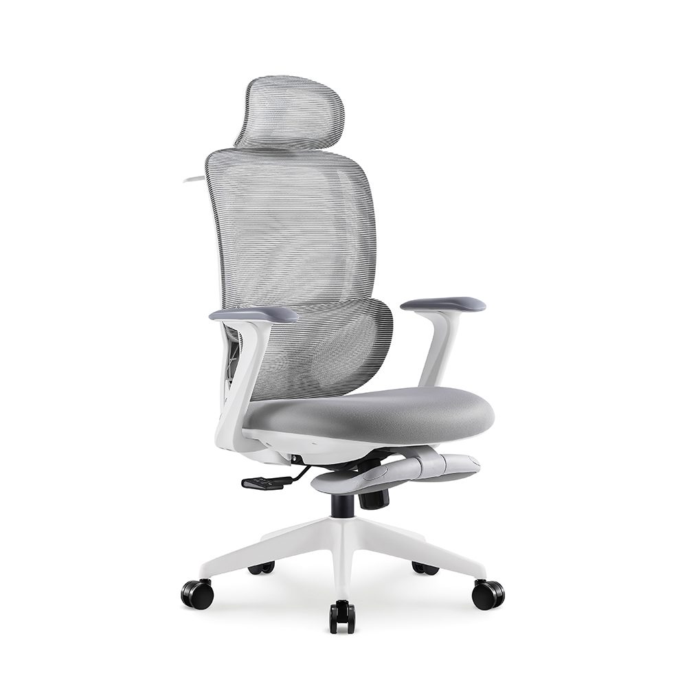 E6670-H(White frame,footrest) view 4