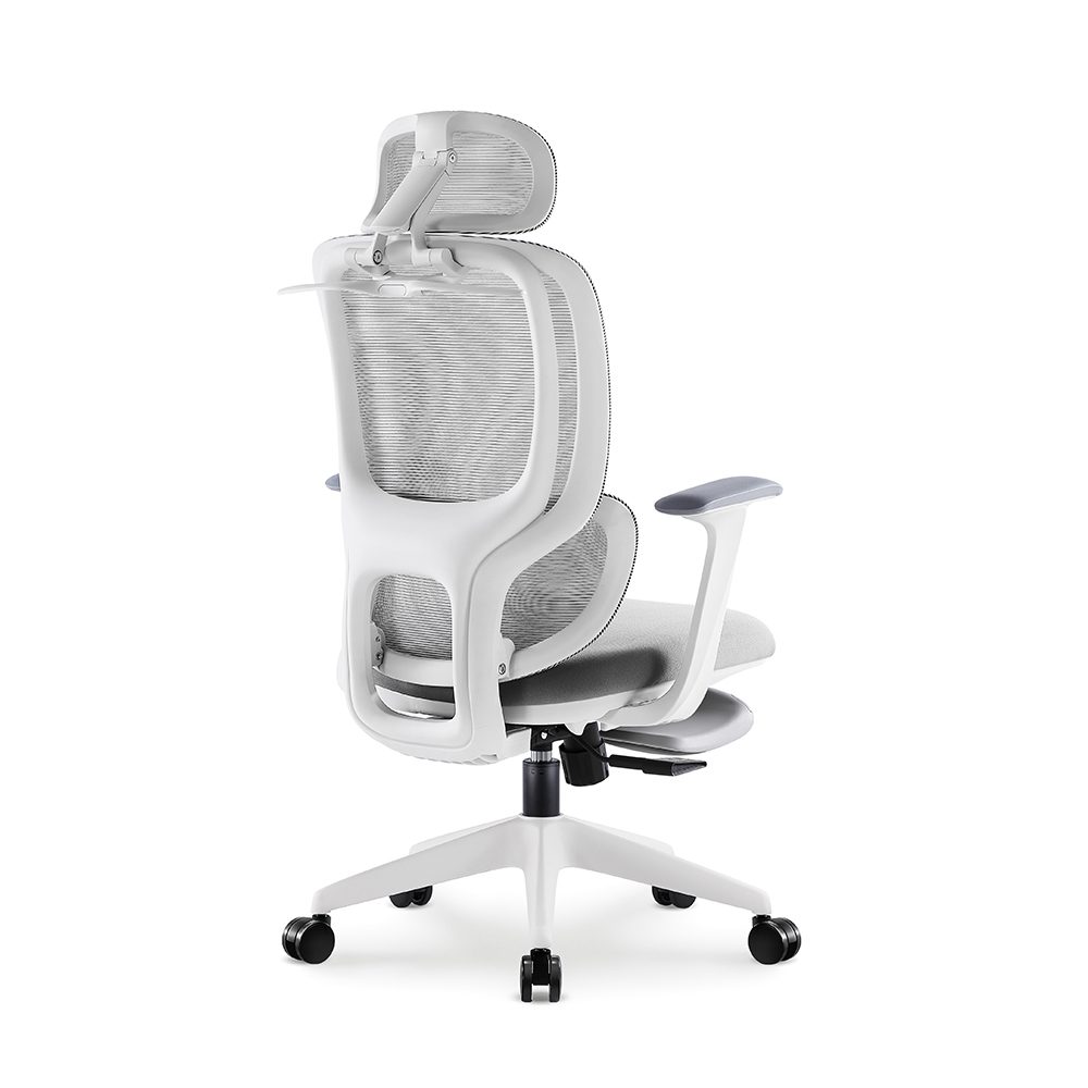 E6670-H(White frame,footrest) view 5