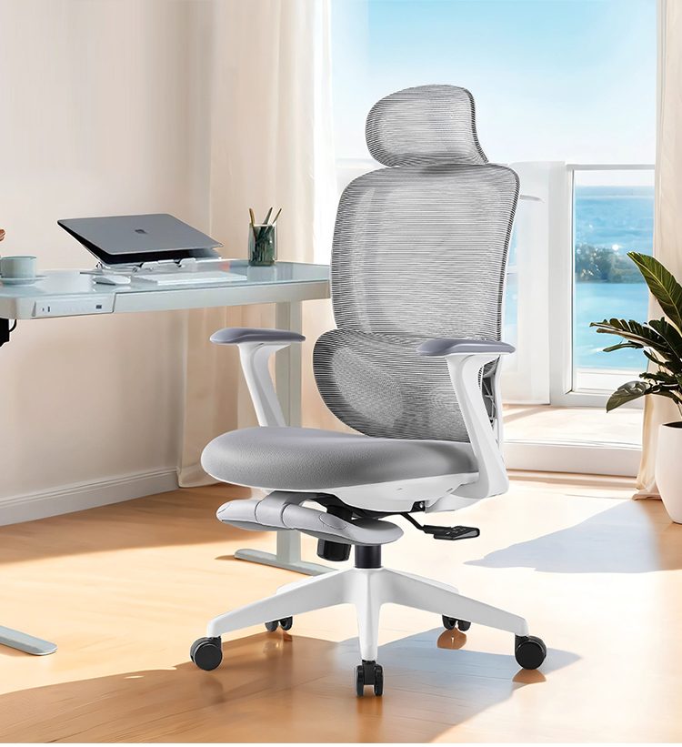 E6670-H(White frame,footrest) detail — 7
