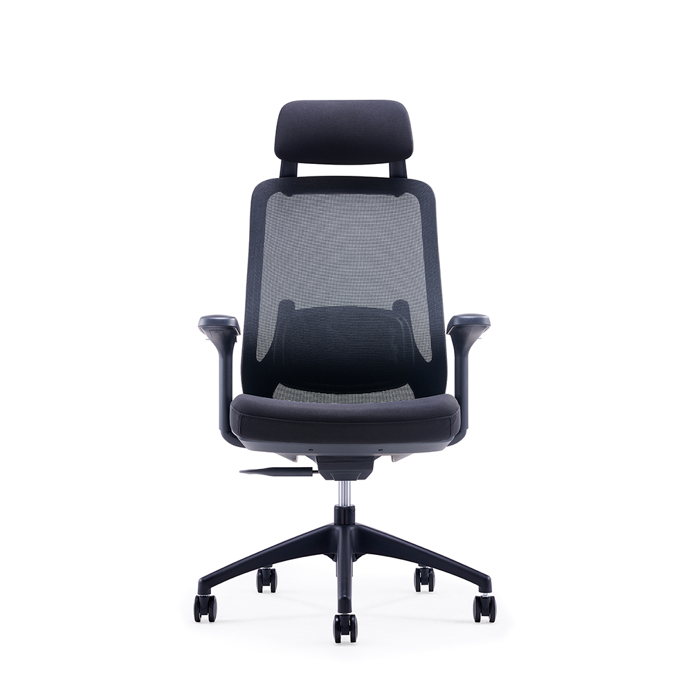 E255-H view 2