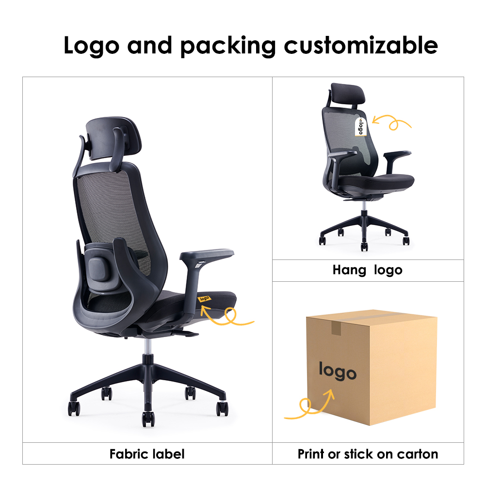 E255 — function detail 3