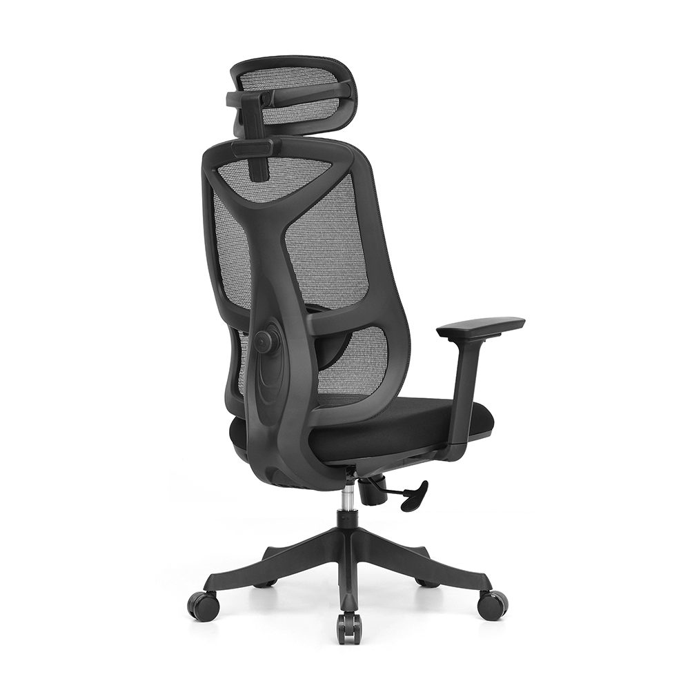 E516-H(2D lumbar support) view 2