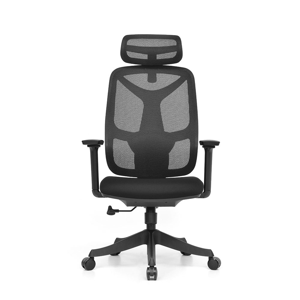 E516-H(2D lumbar support) view 5