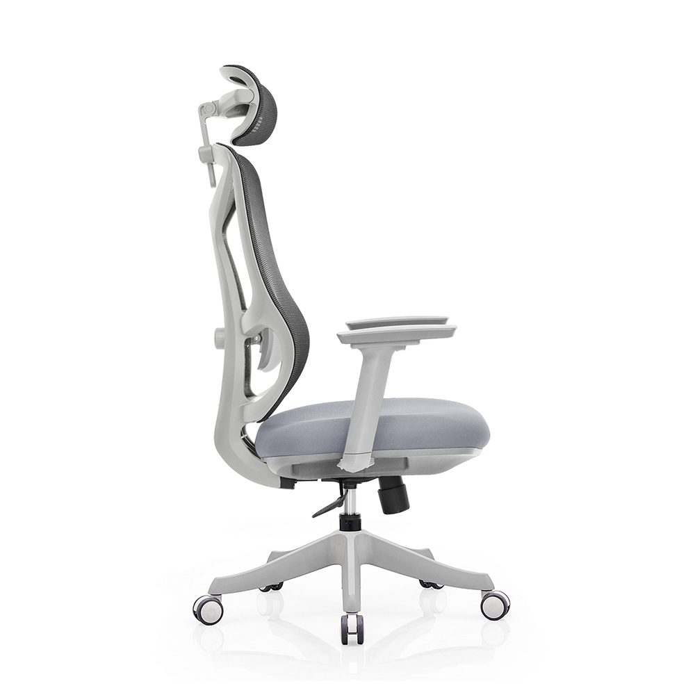 E516-HG(2D lubar support) view 5